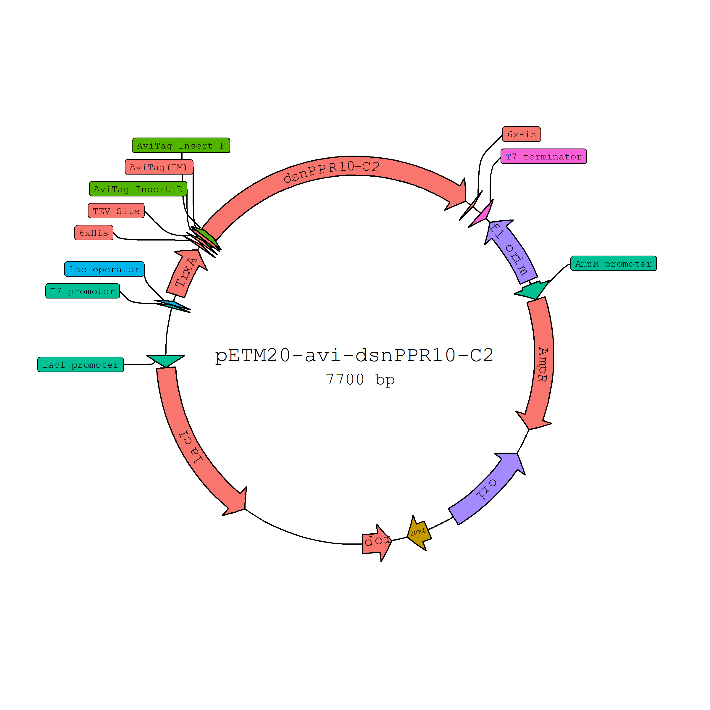 Render DNA plasmid Maps as ggplot - Example 1